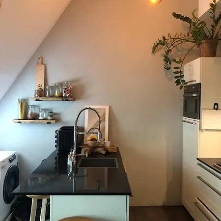 Apartment Cozy With Large Roof Terrace Amsterdam