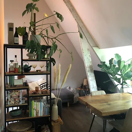 Cozy With Large Roof Terrace *