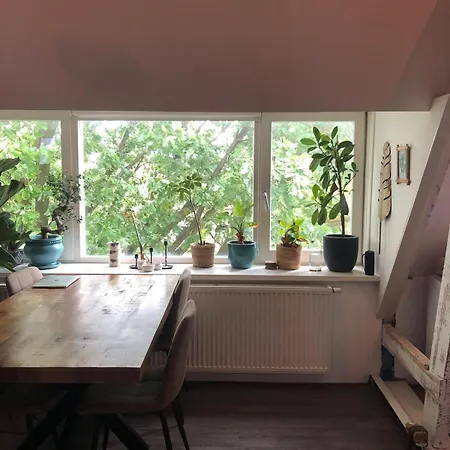 Cozy With Large Roof Terrace *