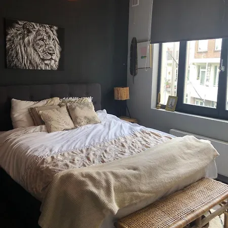 Apartment Cozy With Large Roof Terrace *