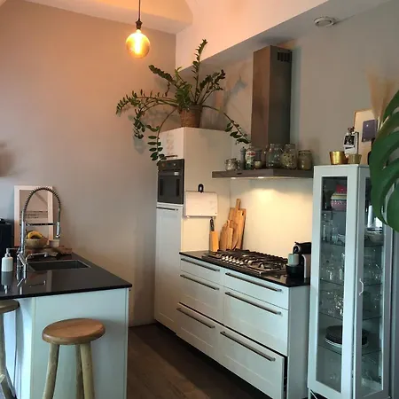 Cozy With Large Roof Terrace Amsterdam